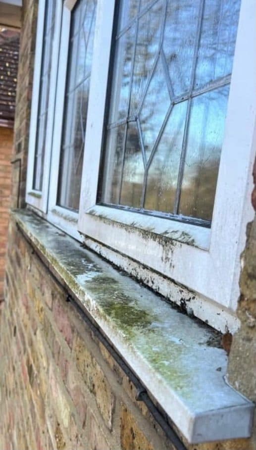 Exterior window with algae and grime on the sill before washing